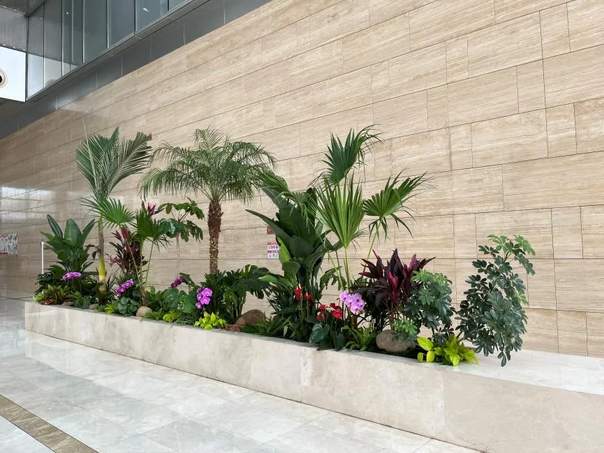 快来瞧！鄞州绿植出租价格究竟怎样？